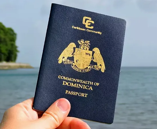Кто может получить гражданство Доминики
