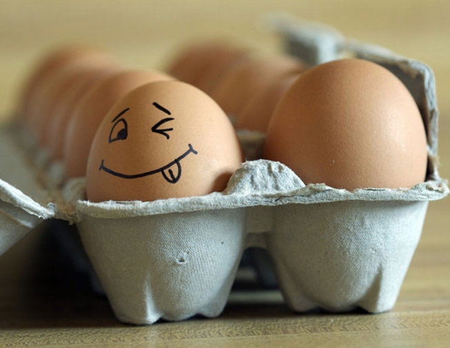 Фотография к новости Ассоциация предупреждает о росте цен на яйца