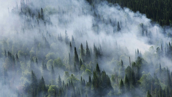 Фотография к новости Интерфакс рассказал о масштабе лесных пожаров в Сибири